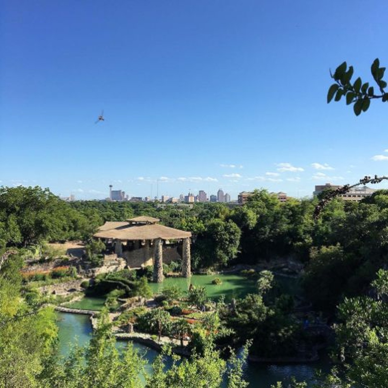 Japanese Tea Gardens 
3853 N. St. Mary&#146;s St., (210) 559-3148 
Head to the Japanese Tea Gardens with a special person for a date that you&#146;ll both love. 
Photo via Instagram, satx_views