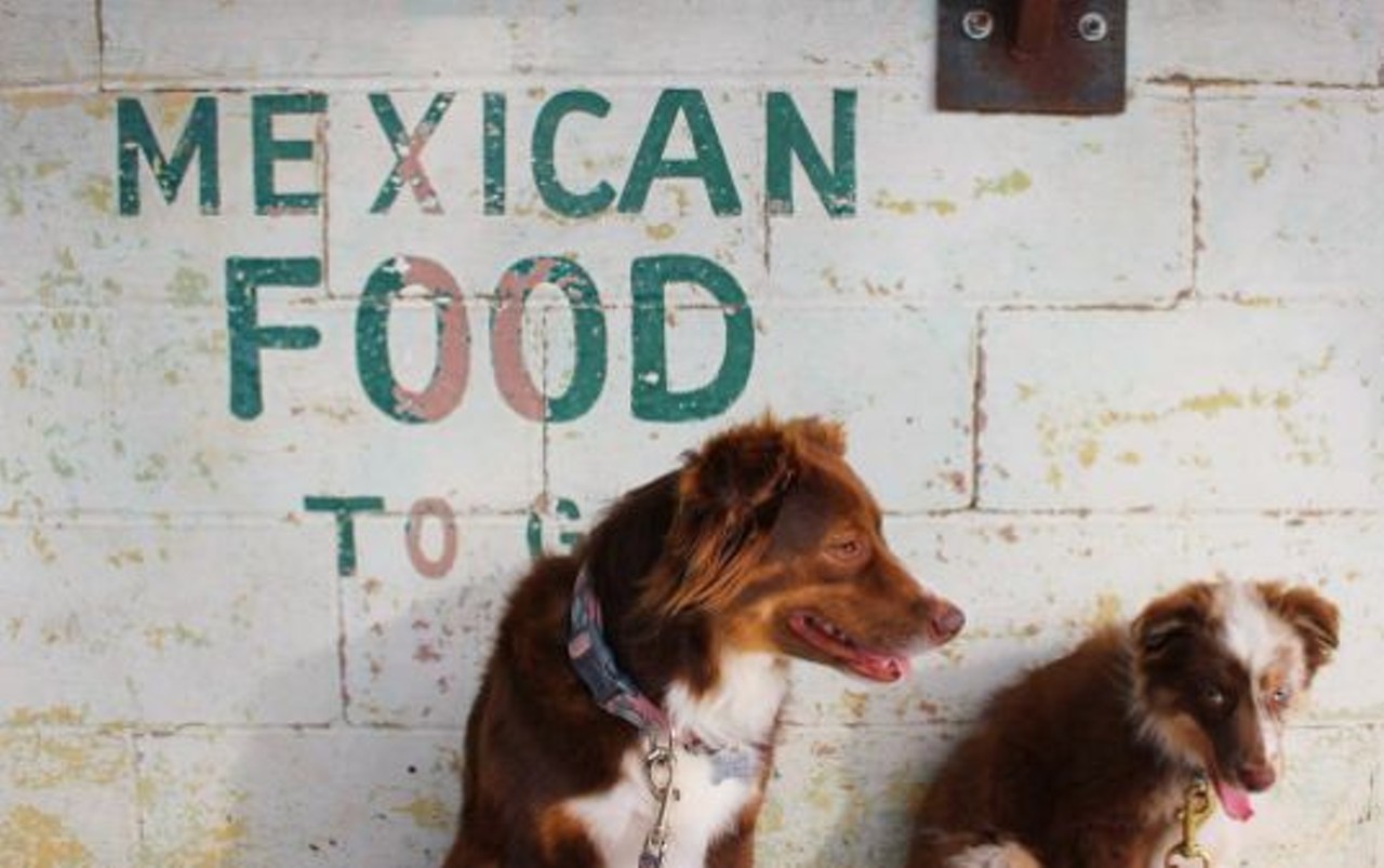 Viva Taco Land 
103 W. Grayson St., (210) 368-2443 
Enjoy great tacos, drinks and some quality time with your pup.
Photo via Instagram, faith_and_titus