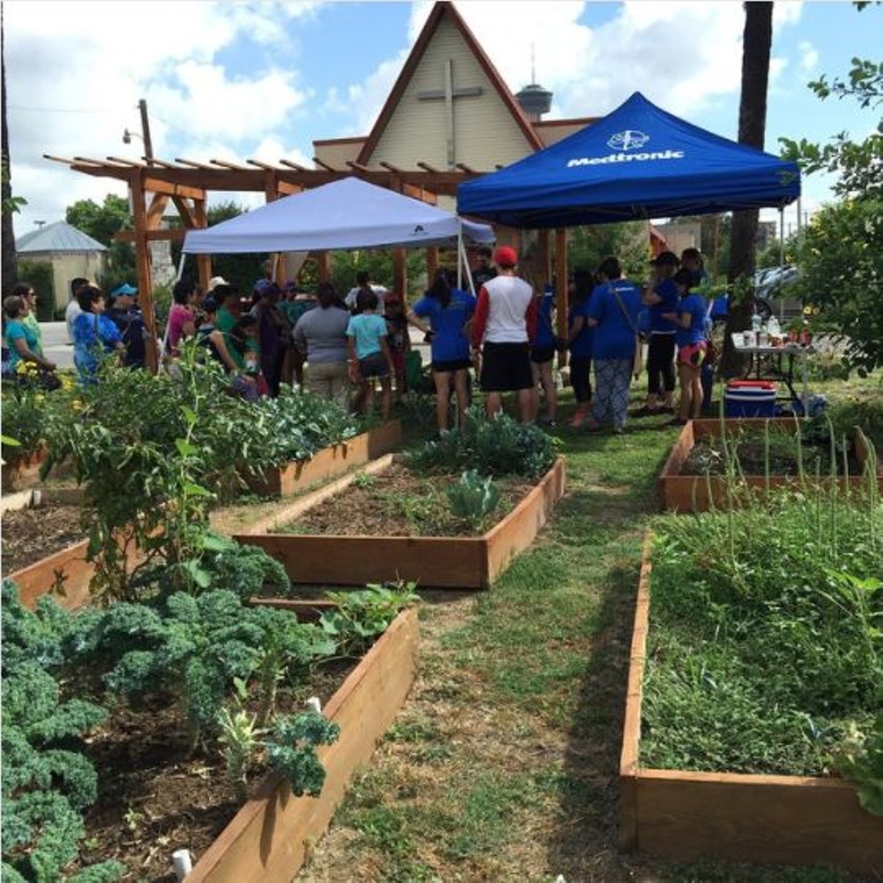 Participate in a community garden 
Make a weekly hangout out of caring for your veggies and plants at a community garden with your friends. You&#146;ll love gardening. It&#146;s a relaxing and worthwhile way to spend your time. It&#146;s also a great way to have fresh vegetables and ingredients.  
Photo via Instagram, monica.lto