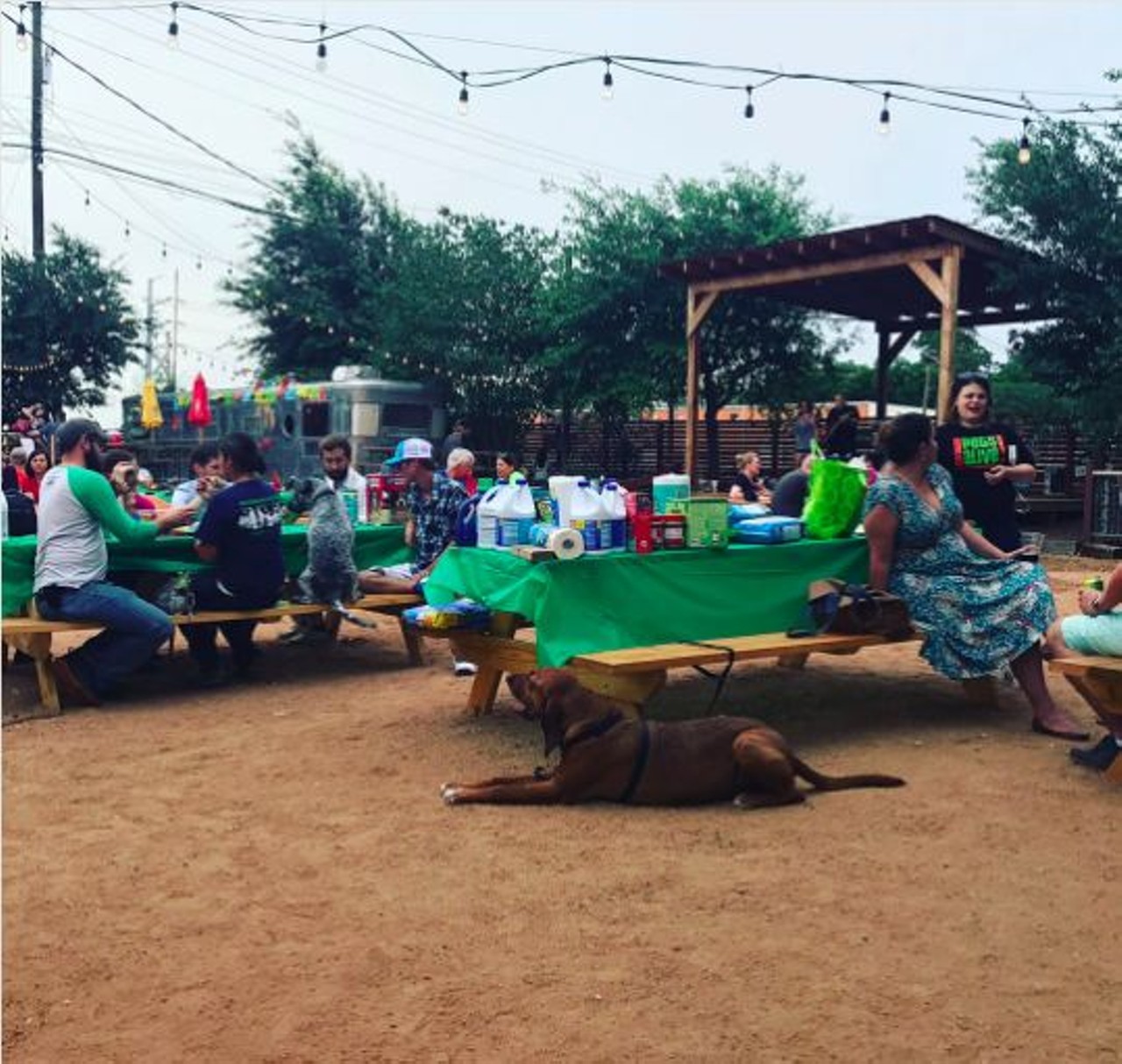 Burleson Yard Beer Garden  
430 Austin St., (210) 354-3001 
With a huge outdoor patio, the Burleson Yard is the perfect spot to bring pups. 
Photo via Instagram, sapatailwaggin