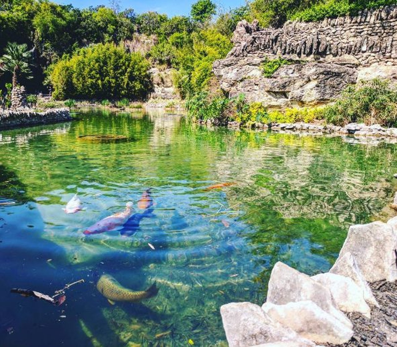 Find zen at the Japanese tea gardens 
3853 N St Mary's St, (210) 559-3148, sanantonio.gov
Center yourself at one of San Antonio&#146;s most beautiful spots.
Photo via Instagram, totallyjeanette