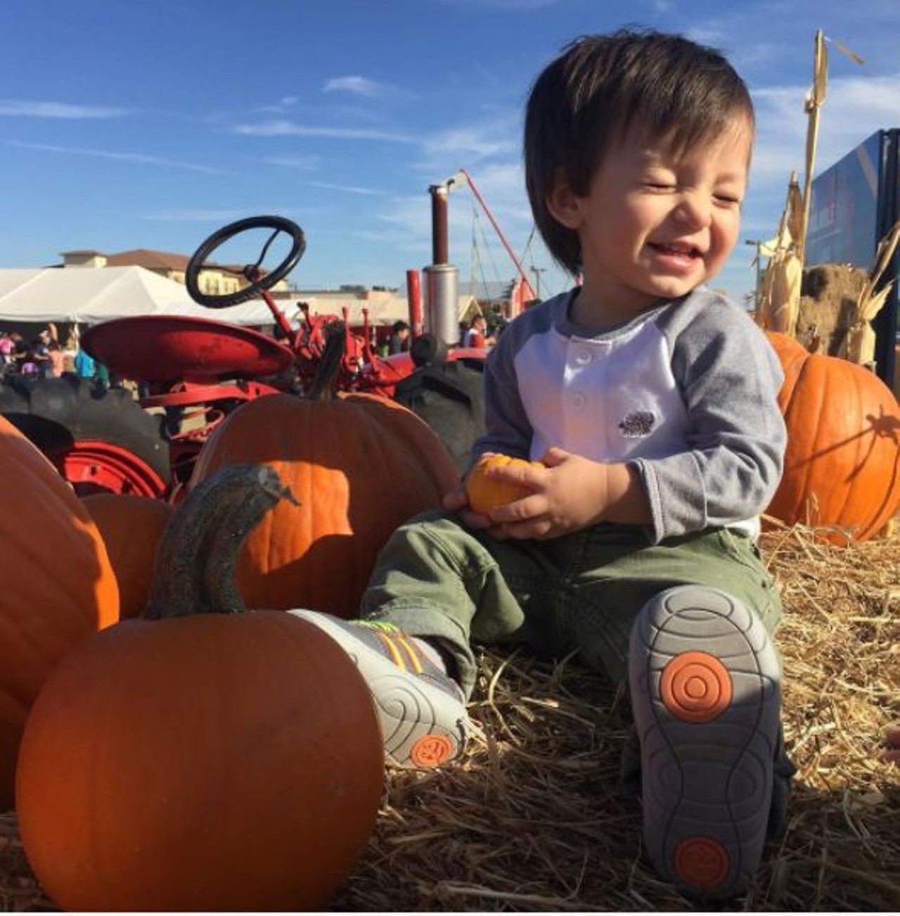 The Pumpkin Patch San Antonio
8739 State Highway Texas 151, facebook.com
Bring the family to enjoy this pumpkin patch - even your pupper! Leashed and well-behaved dogs are welcome at this pumpkin patch located near SeaWorld. Open weekends from September 30 through October 29.
Photo via Instagram, lauravgarcia1