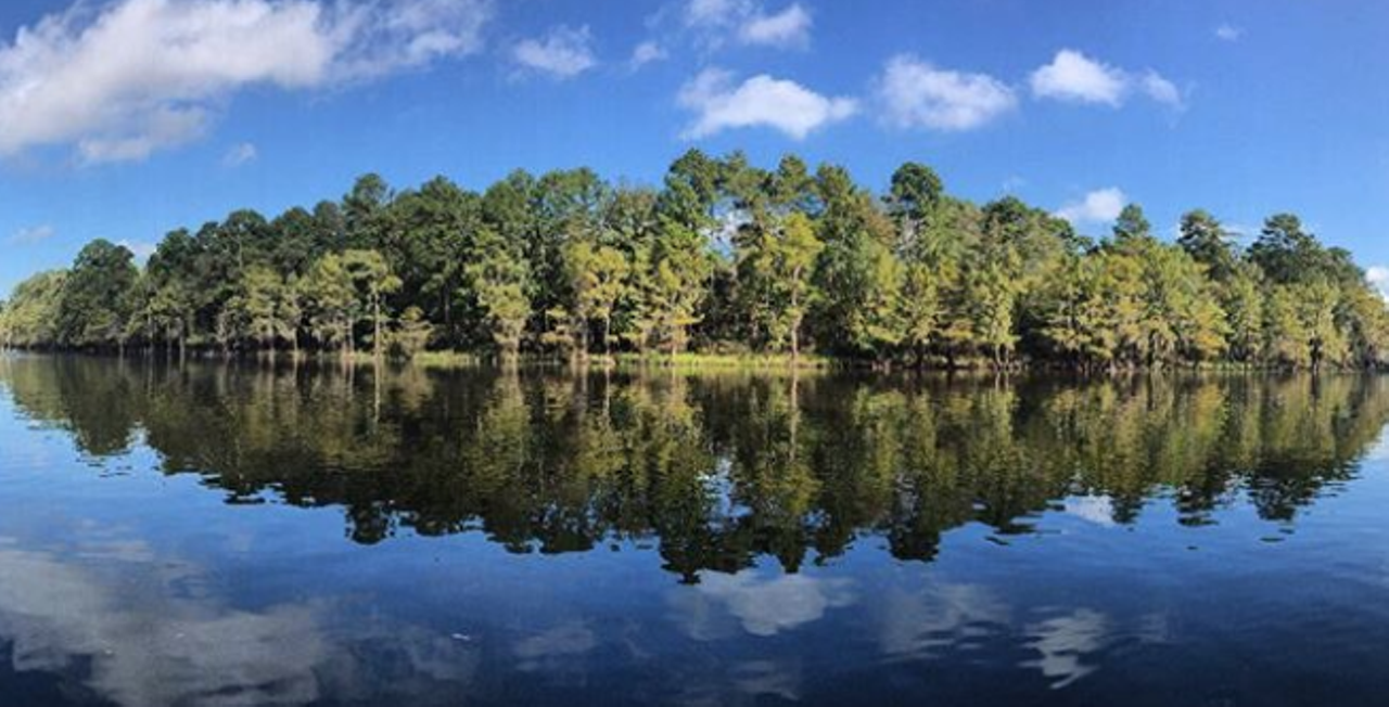 Caddo Lake State Park
245 Park Rd 2, Karnack, (903) 679-3351, tpwd.texas.gov
Spend some time exploring the bayous, sloughs and ponds at Caddo Lake and make your way through the thick moss of cypress trees. Hike, paddle, fish, there’s plenty to do here. Just beware of alligators!
Photo via Instagram / ripaboo