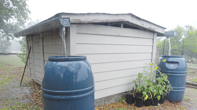 Urban Homesteader: Harvesting water