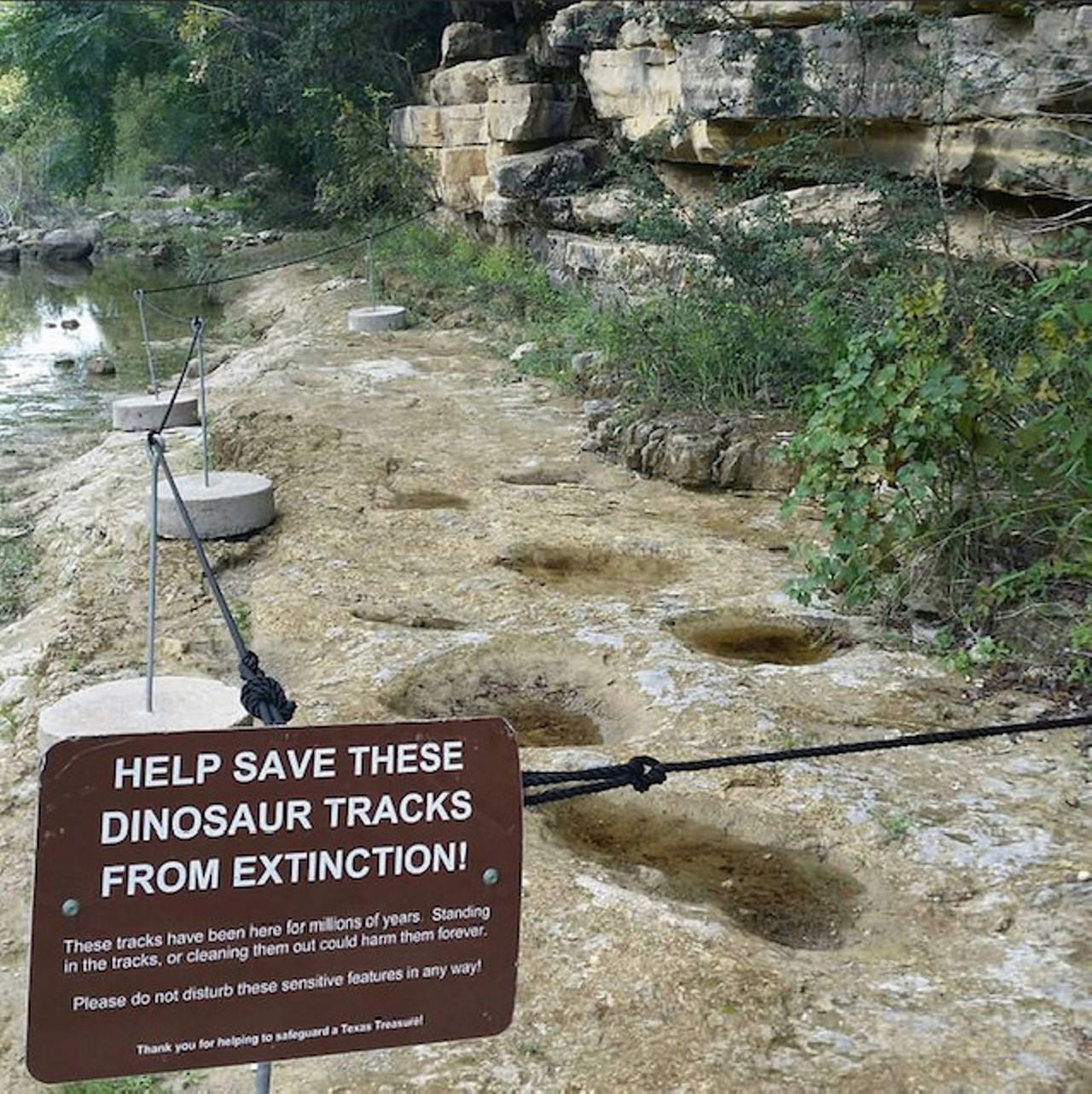 Hike to the dinosaur tracks at Government Canyon12861 Galm Rd., (210) 688-9055, tpwd.texas.gov Home to South Texas’ only known dinosaur tracks on public land, Government Canyon State Natural Area’s Joe Johnston Route was marked by prehistoric creatures from about 110 million years ago when San Antonio was the shoreline of the Gulf of Mexico. The 5-mile round trip takes hikers on a rugged trail to Marker #19 where two types of dinosaur tracks can be found, the three-tip theropod and the rounded sauropod print.       Photo via Instagram / governmentcanyon