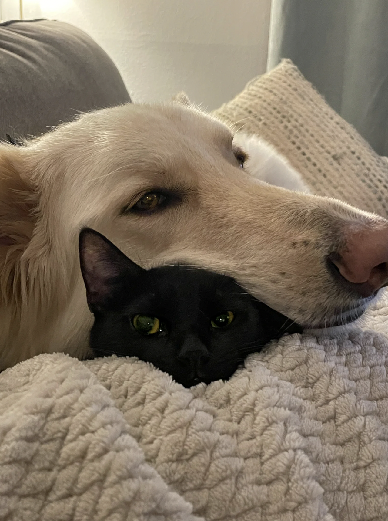 Best Buds: Mabel and Lennox