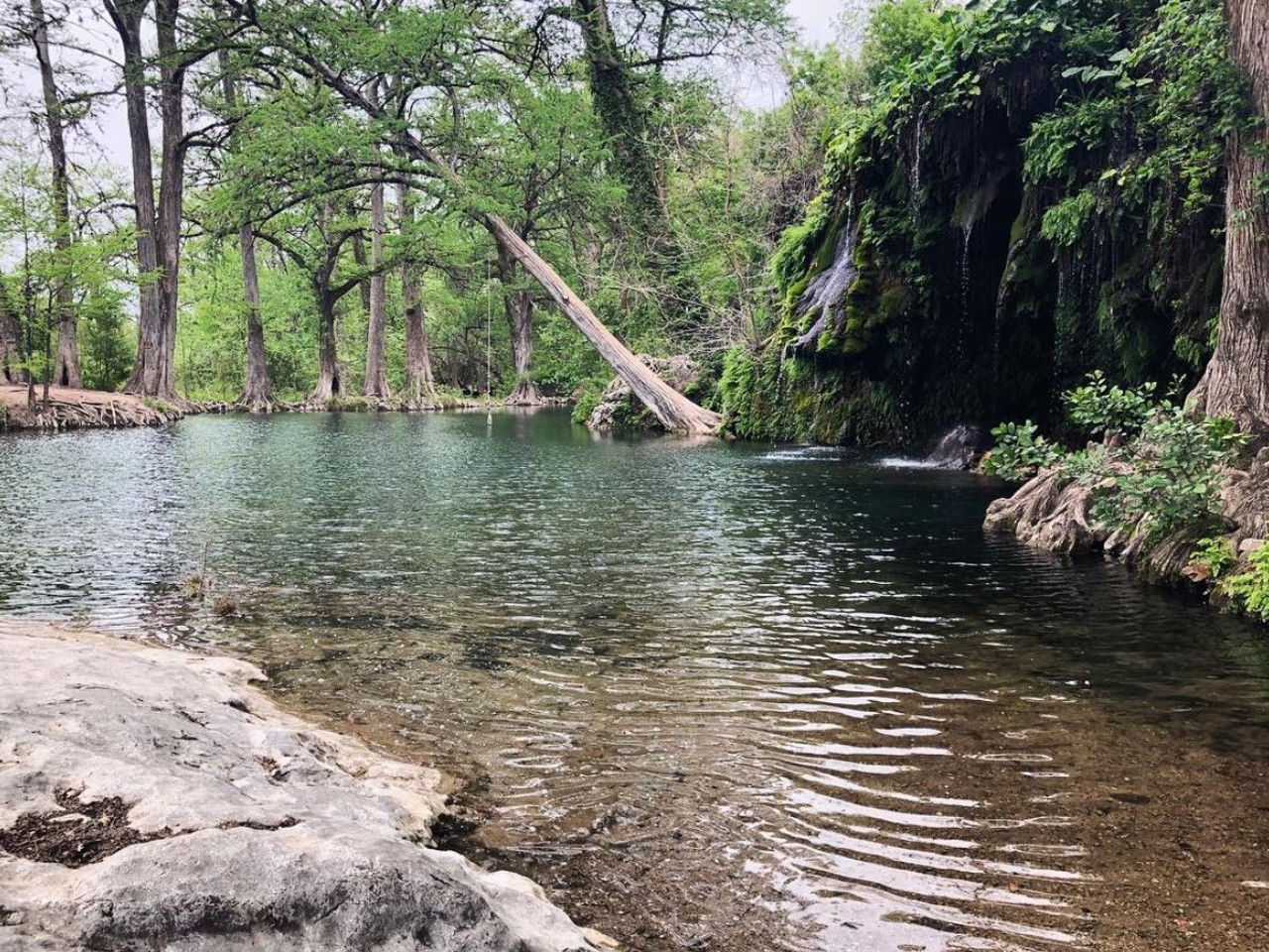Krause Springs
404 Krause Spring Rd, (830) 693-4181, krausesprings.net
Located a little north of Austin, Krause Springs is a beautiful spot for enjoying the outdoors. And taking pictures, of course. If you plan to come or camp, be sure to bring cash for admission.
Photo via Instagram / heidimsimmons