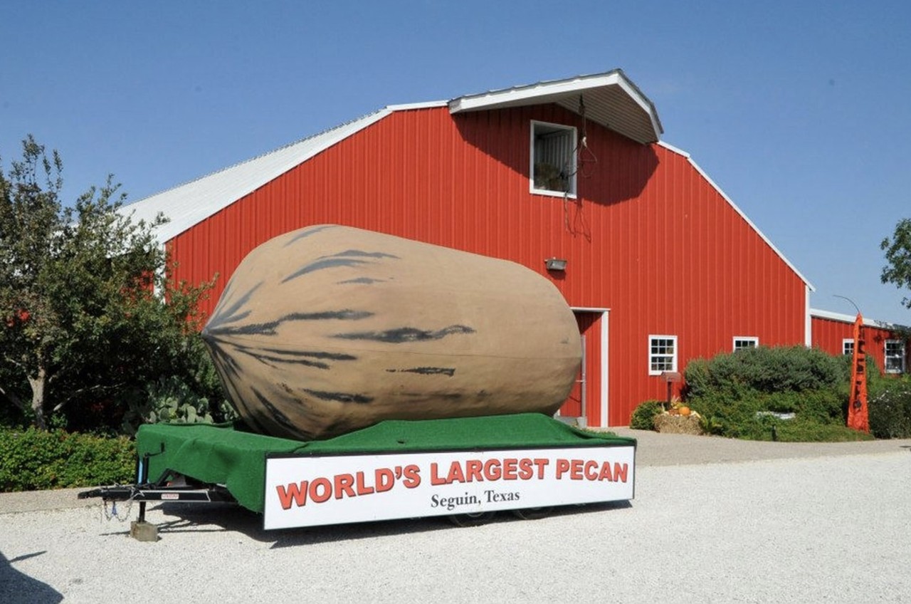 World's Largest Pecan, Seguin
390 Cordova Road, Seguin, roadsideamerica.com
The Pecan Capital of the world won the title not just for its fields of ofTexan pecan trees but also for the 16-foot long, 8-foot wide statue of a pecan which sits outside of the Pecan Museum of Texas, which houses Texan folk art and nutcrackers. 
Photo via Instagram / visitseguin