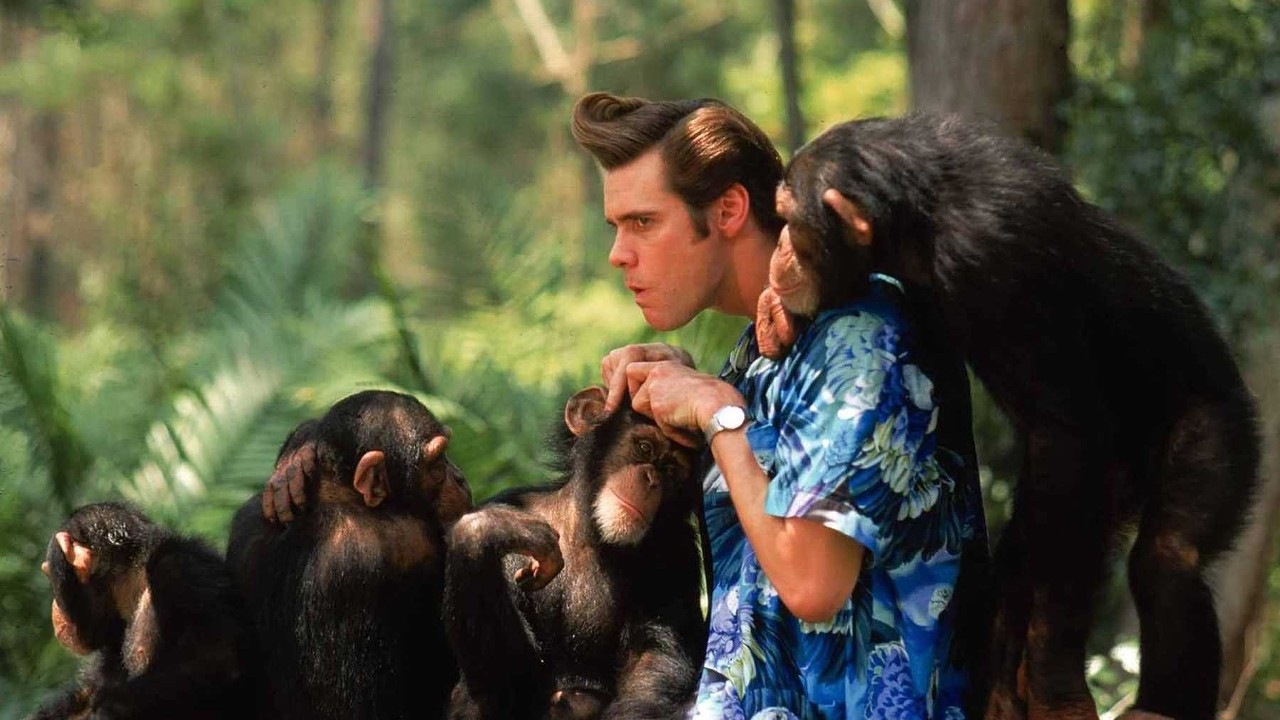 Jim Carrey – Ace Ventura: When Nature Calls
Carrey returns to reprise his role as the title pet detective who goes on a quest to find a sacred bat of a tribe in Africa.
Photo via Warner Bros.