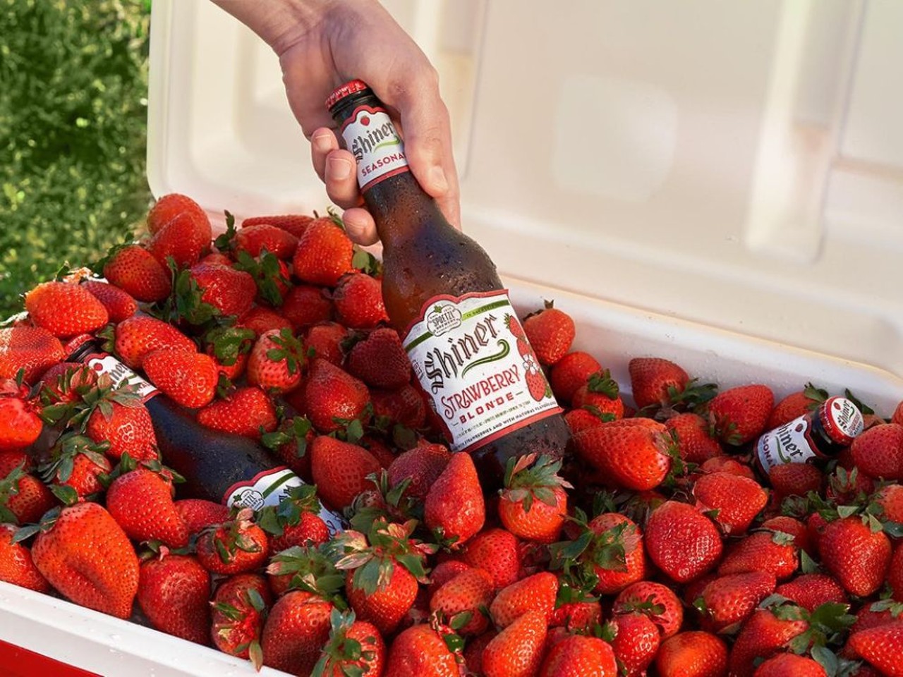Try a locally brewed seasonal beer
There’s few things better than a cool, seasonal beer on a hot summer’s day. Try out a brew like Shiner's Strawberry Blonde, which is made with Poteet strawberries!