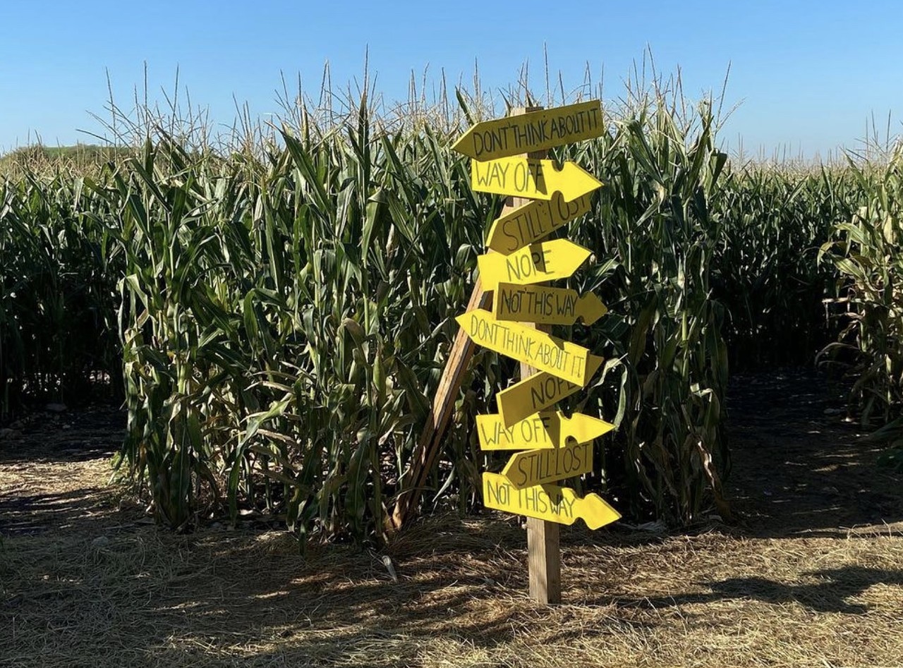 Traders Village
9333 S.W. Loop 410, (210) 623-8383, tradersvillage.com
Traders Village is back with its fifth annual Corny Maze. The 10-acre maze features three trails ranging from easy, kid-friendly difficulty to a challenging trek through the corn stalks. You can also grab your seasonal gourds at Traders Village's pumpkin patch. The maze will be open from 10 a.m.-5 p.m. every weekend in October and November starting Oct. 1.
Photo via Instagram / tradersvillage_sa
