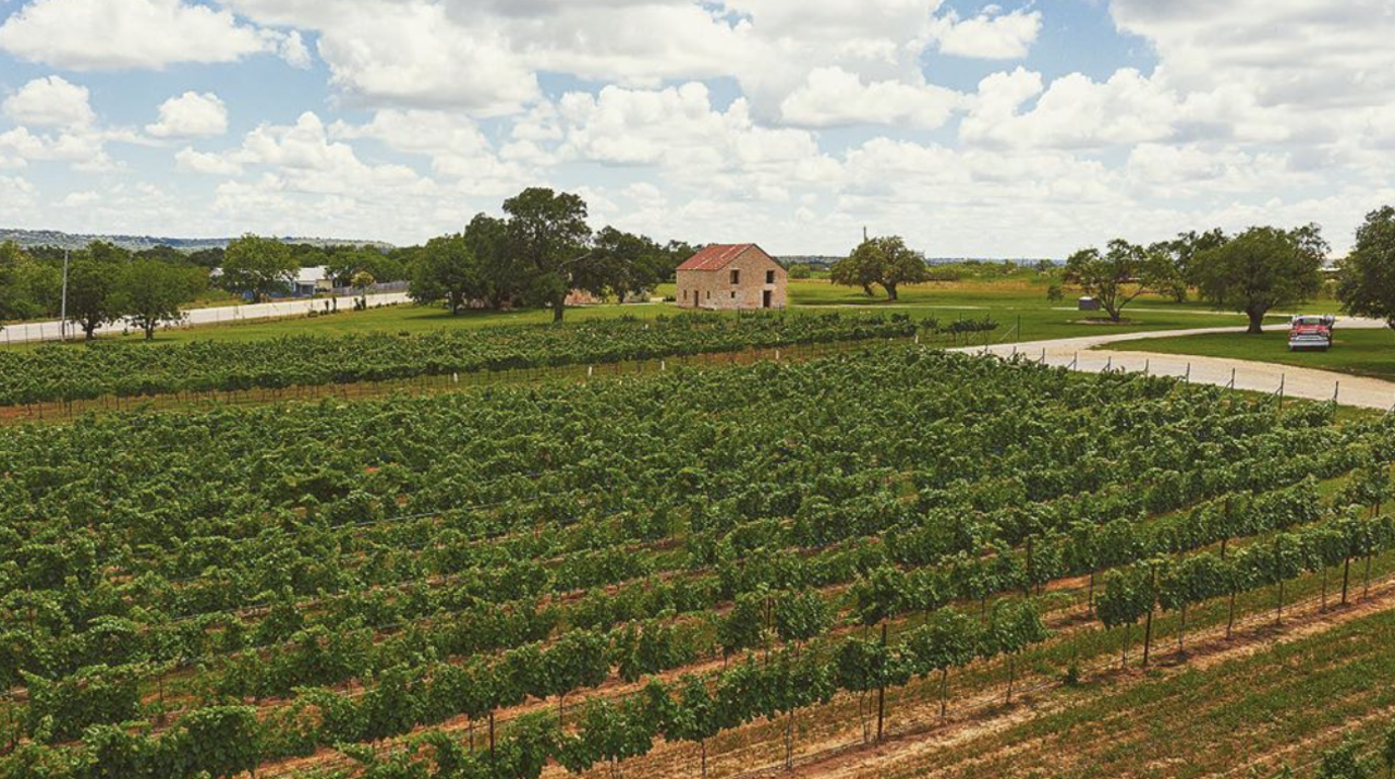 Slate Mill Wine Collective
4222 S State Hwy 16, Fredericksburg, TX, (830) 391-8510, slatemillwinecollective.comThis collaboration-heavy venue offers patio sippin, production tours, bottles and tastings to-go and tons of space to enjoy (socially-distanced) company. Reservations are required for production tours, but general seating is first come, first served.
Photo via Instagram / slatemillwinecollective