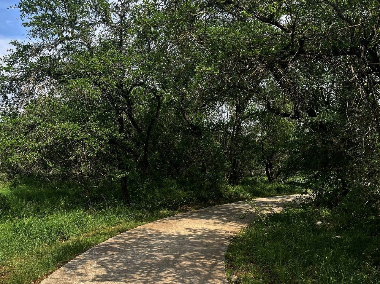Panther Springs Park
22635 Wilderness Oak Road, (210) 207-8480, sanantonio.gov
Also known as Panther Springs Natural Area, this park features 2.5 miles of paved trails and a large dog park.