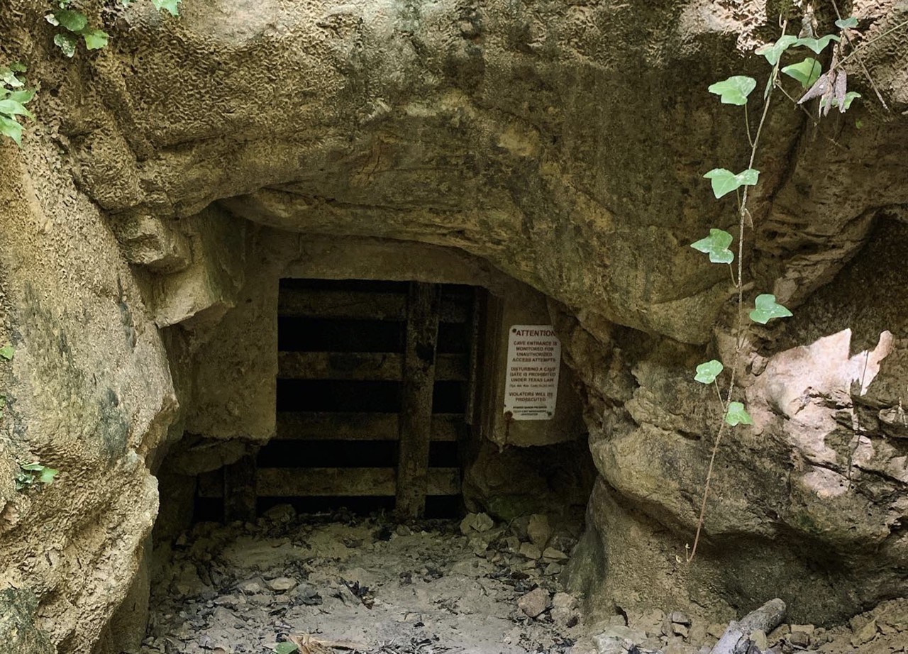 Robber Baron Cave
115 Camellia Way, tcmacaves.org/preserves/robberbaron
Tucked inside Alamo Heights is a hidden piece of San Antonio history: the Robber Baron Cave. During Prohibition times, the site was supposedly the perfect spot to store and smuggle booze. For a time, it was also a popular tourist destination. Nowadays, to preserve its ecology, the cave is closed to regular visitation. But every once in a while, guided tours become available.