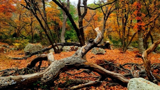 25 Texas parks to see fall colors that are worth a road trip from San Antonio