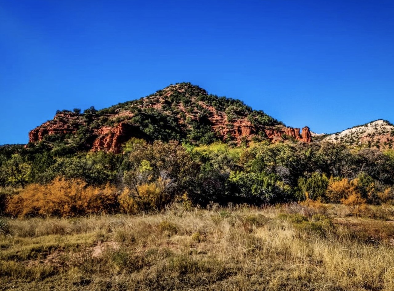 Caprock Canyons
850 Caprock Canyon Park Road, Quitaque, (806) 455-1492, tpwd.texas.gov
Venture up to the Panhandle and you’ll be able to explore Caprock Canyons — where there’s miles and miles of open land. You won’t run out of things to do here, as you can camp and watch bison roam free. Yes, really. There are still splashes of fall color across this open landscape, though, thanks to the local population of cottonwood trees.