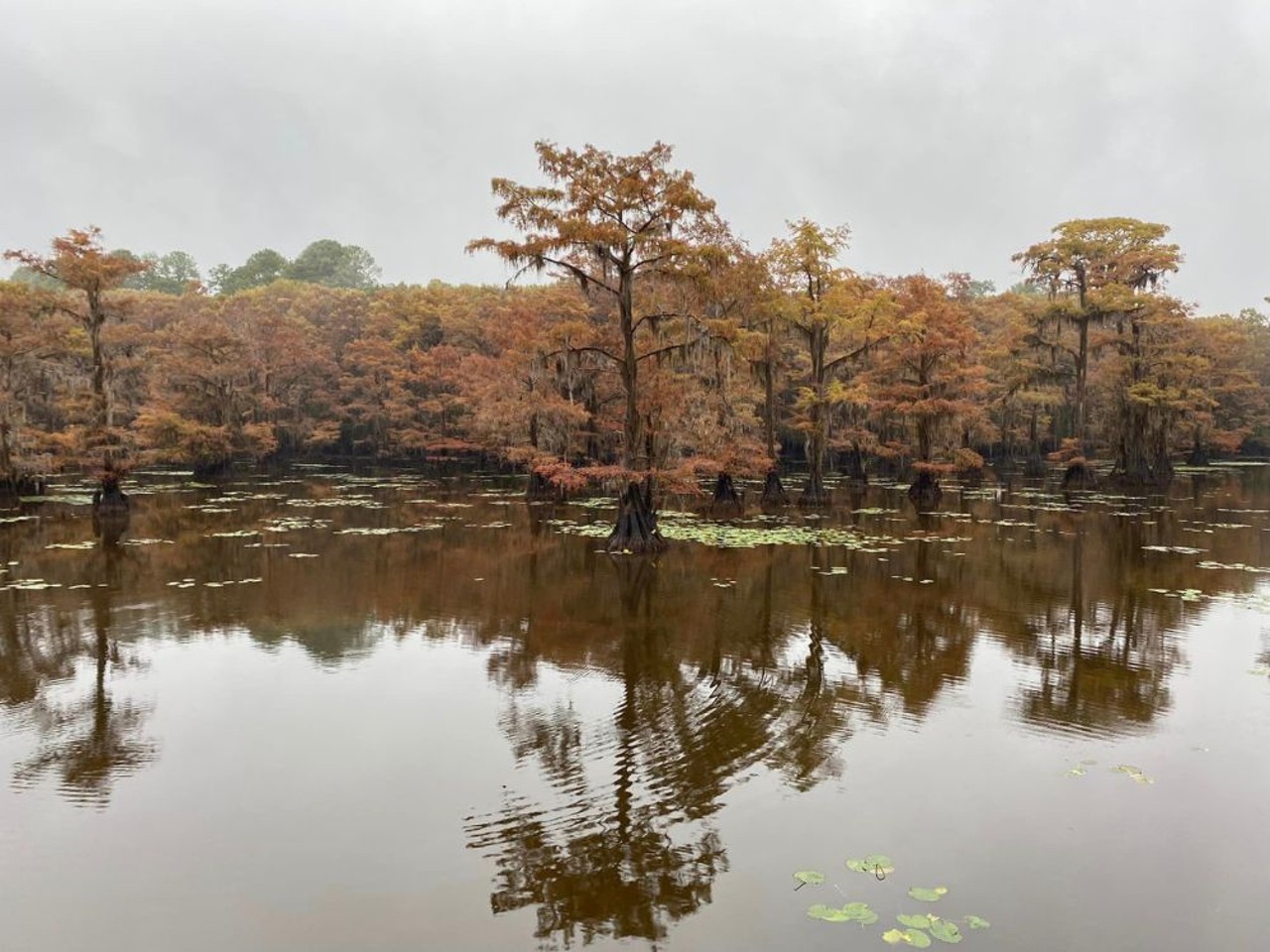 Caddo Lake State Park
245 Park Rd 2, Karnack, (903) 679-3351, tpwd.texas.gov
Located in East Texas, Caddo Lake is all about wildlife and the natural lake. Camp, fish, paddle, hike and go boating here — whatever you may wish. All activities aside, the serene beauty of this park is reason enough to travel to this park.