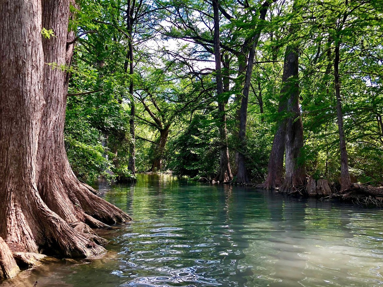 Blue Hole
100 Blue Hole Lane, Wimberley, (512) 660-9111, cityofwimberley.com    
Minutes from downtown Wimberley, Blue Hole makes for a refreshing stop during a day trip to the heart of the Texas Hill Country. Reservations are required, so be sure to plan ahead.