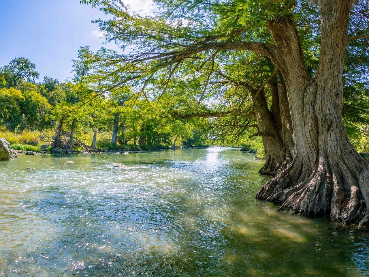 Guadalupe River State Park
3350 Park Road 31, Spring Branch, (830) 438-2656, tpwd.texas.gov
Swim, tube, canoe or fish — or do all four! With four miles of river frontage, Guadalupe State Park is sure to make for a full day.