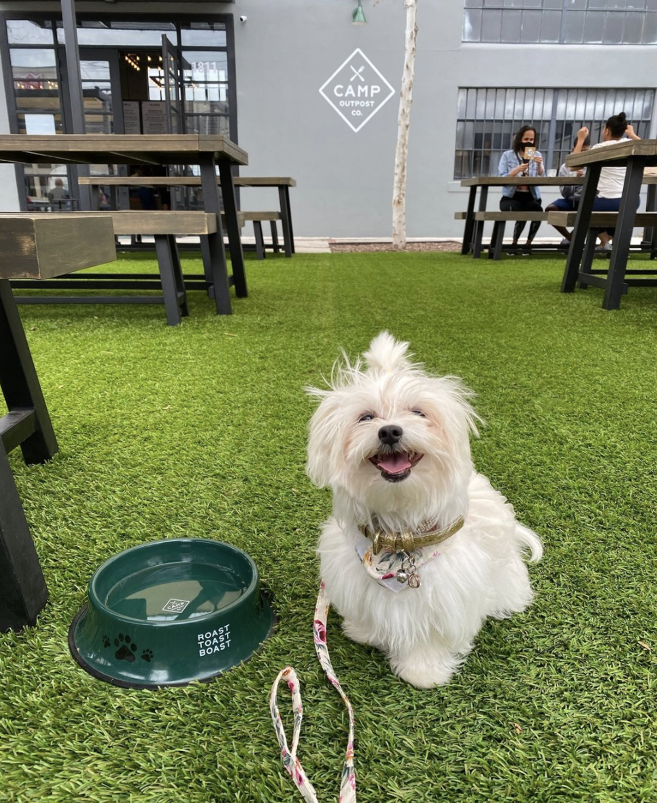 Camp Outpost
Mask Required
1811 S Alamo St, (210) 942-4690, eatatcamp.com
Camp Outpost caters to you and your dog! Choose from a variety of American food while your dog is provided with a Camp Outpost bowl to stay hydrated in the sun. 
Photo via Instagram / eatatcamp