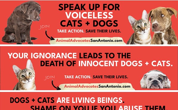 The billboards paid for by nonprofit Animal Advocates San Antonio encourage urges concerned residents to speak out against ACS's Live Release rate.