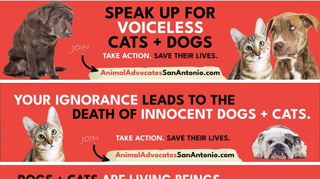 The billboards paid for by nonprofit Animal Advocates San Antonio encourage urges concerned residents to speak out against ACS's Live Release rate.