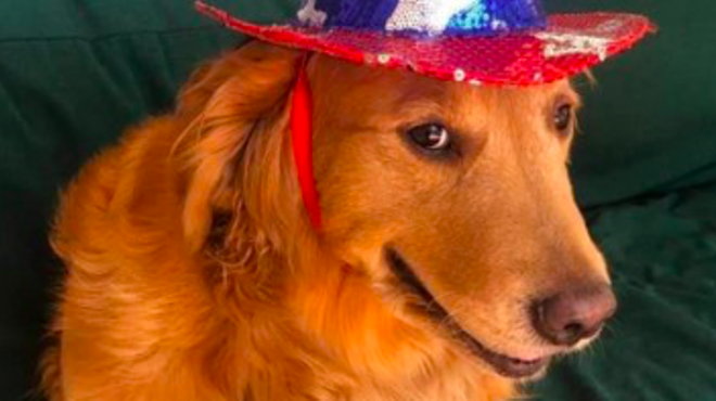After vetoing animal cruelty bill, Texas Gov. Abbott tweeted a July 4 pic of his dog. It didn't go well.