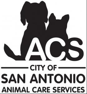 Animal Care Services: Kathy Davis replaces Joe Angelo at the helm