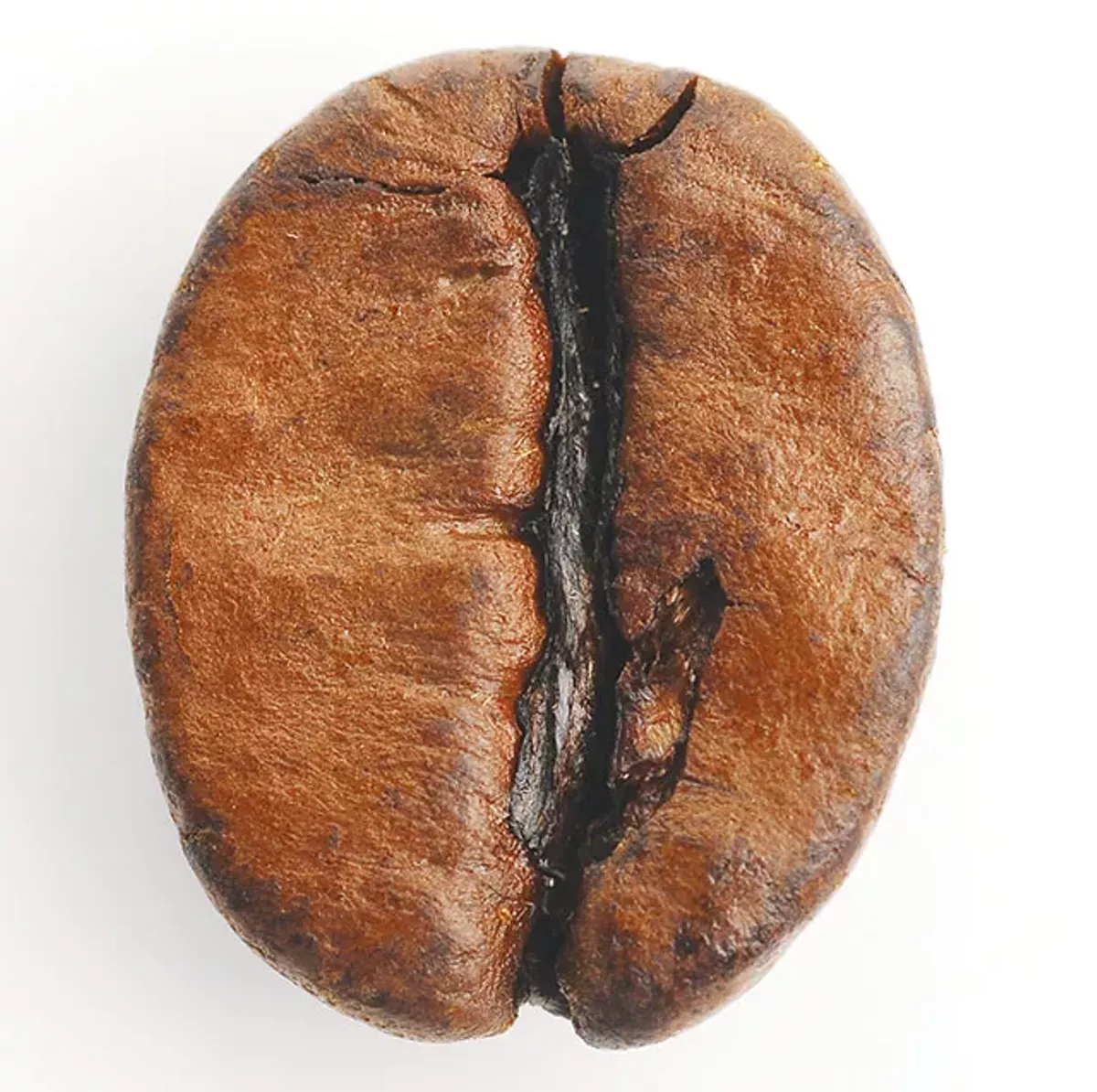 Image: Best Coffee Shop