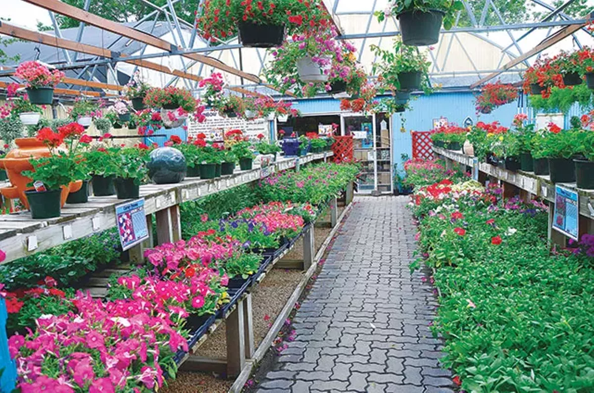 Image: Best Plant Nursery