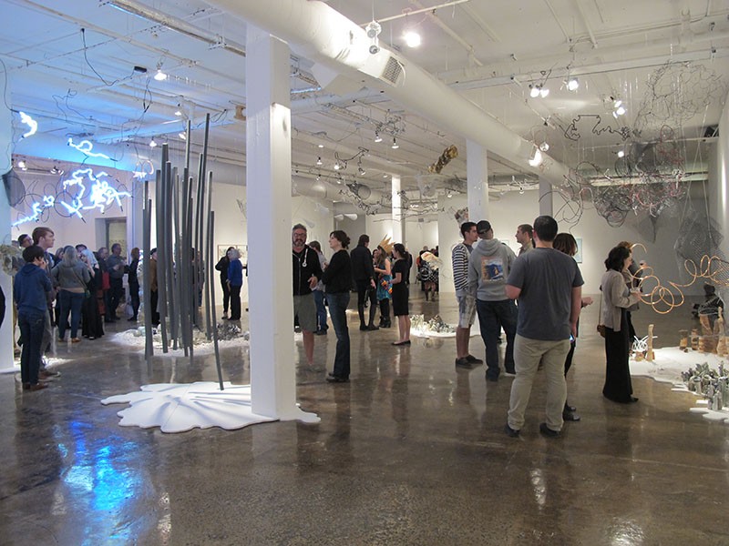 Blue Star's opening reception for Rosane Volchan O'Connor's 2014 CAM exhibition "Organismo." - Courtesy