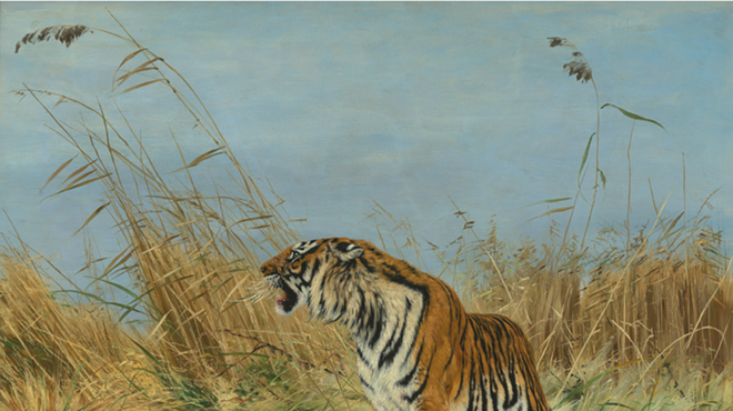 Richard Friese's Tiger with Blackbuck