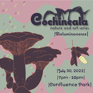 Cochineala - Bioluminescence