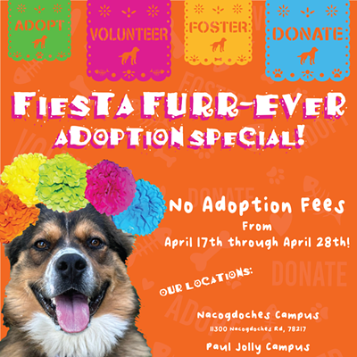 Fiesta Furr-EVER Adoption Special