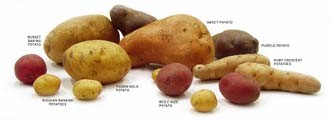 food-potatoes_330jpg
