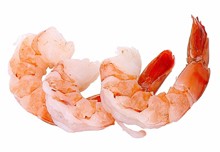 Food & Drink Shrimp tales