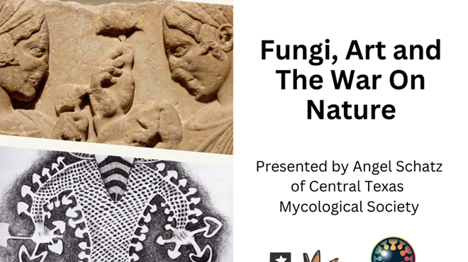 Fungi, Art & The War on Nature