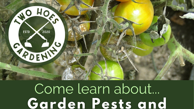 Garden Pests and Diseases w/Two Hoes Gardening