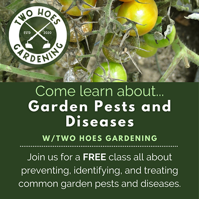 FREE Garden Pests and Diseases Class