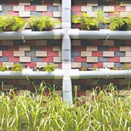 Grow up, not out, with vertical gardening