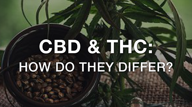 How Are They Different? CBD vs THC