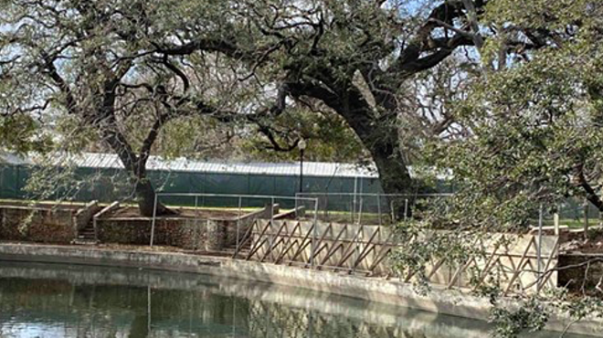 Lack of transparency surrounds the city of San Antonio's push to fell heritage trees at Brackenridge Park