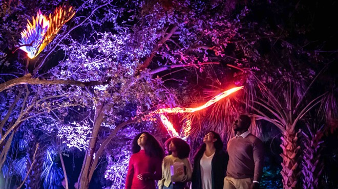 Lightscape VIP Night at San Antonio Botanical Garden