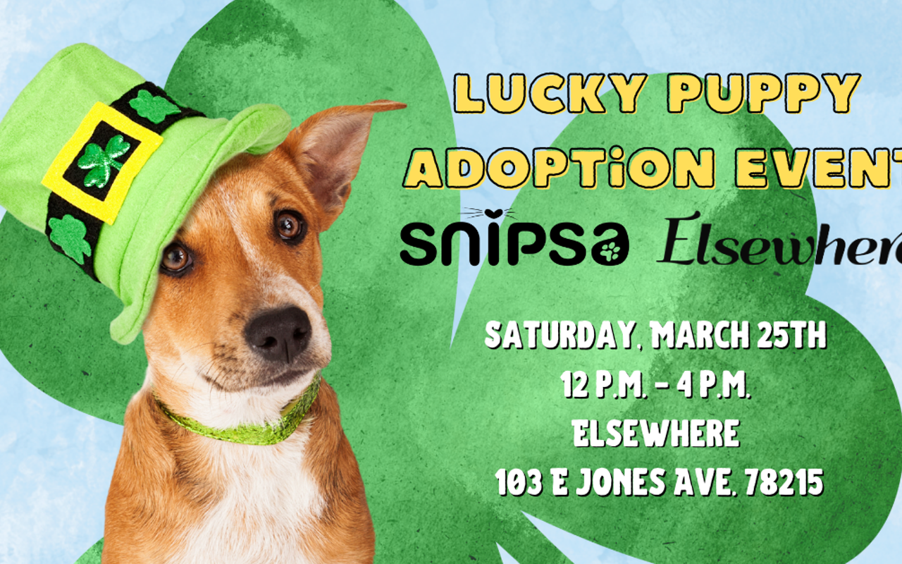 Image: Lucky Puppy Adoption Event