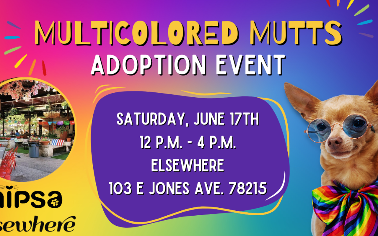 Image: Multicolored Mutts Adoption Event