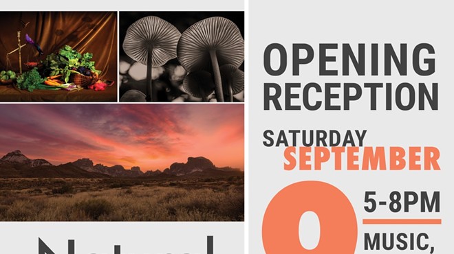 Natural Order (Opening Reception) - MBAW Art Gallery