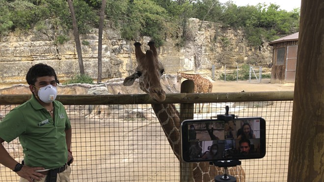 San Antonio Zoo Offering Virtual Opportunities to Meet Animals Close Up