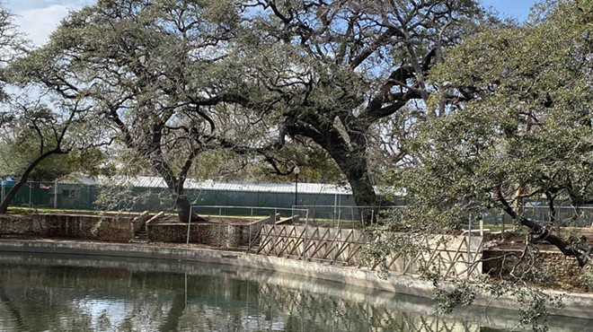 The city faced a backlash after it proposed removing trees leaning into the Lambert Beach River Walls in Brackenridge Park.