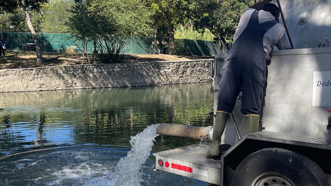 Brackenridge Park Conservancy personal dump fish into the San Antonio River