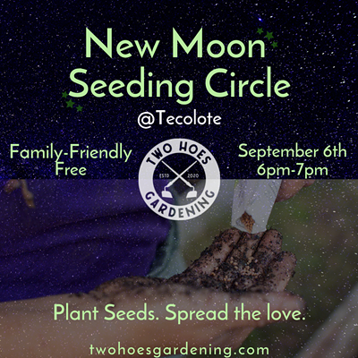 New Moon Seeding Circle